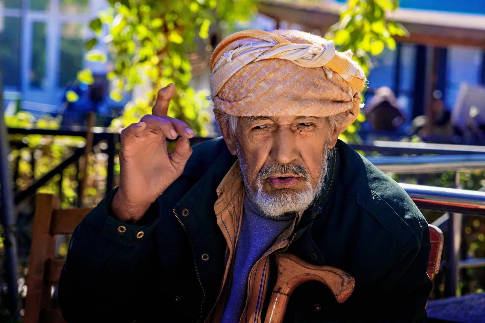 Bir Köy Çınarının Nasihati   