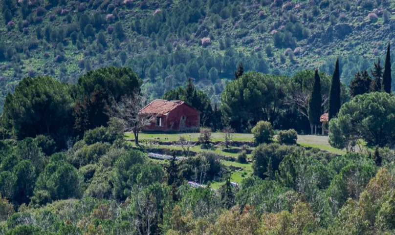 Zamana Direnen ve Zamanı Yakalayan